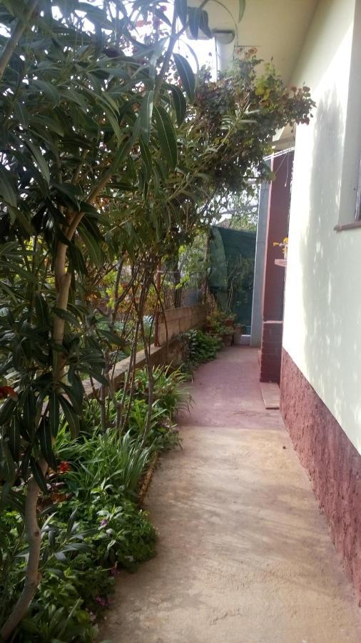 Villa Pero Apartman Sukošan Exterior foto